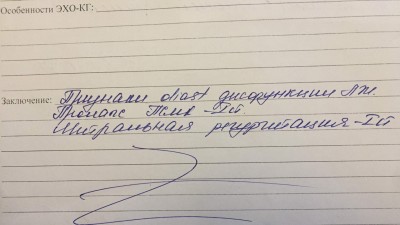заключение.jpg