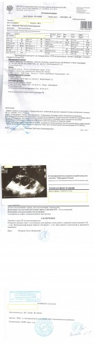 Scan_20230414_142406.jpg