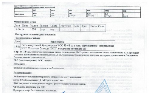 Заключение(2).jpeg.jpeg