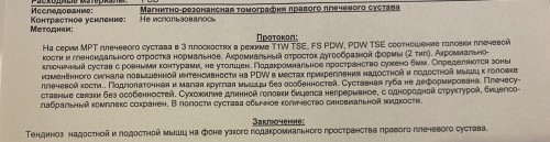 IMG_7969.jpeg