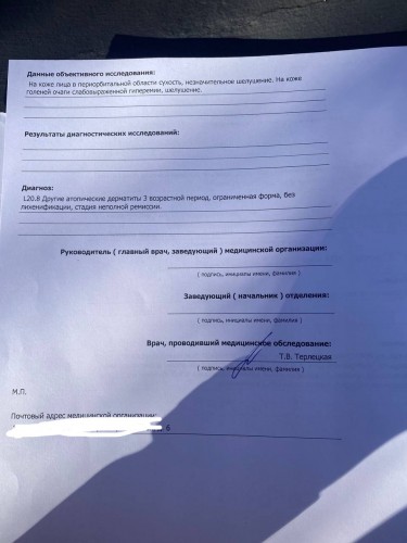 IMG_2985.jpeg