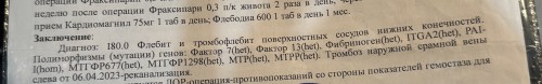 IMG_6629.jpeg