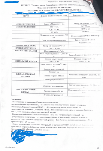 УЗИ (1).png