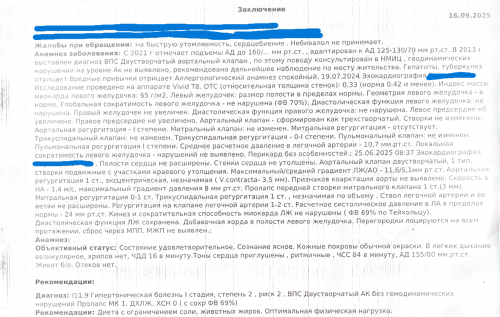 заключение2.png