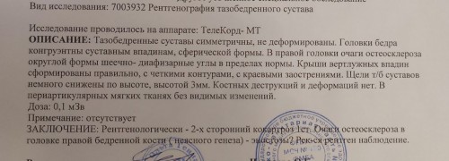 IMG_4742.jpeg